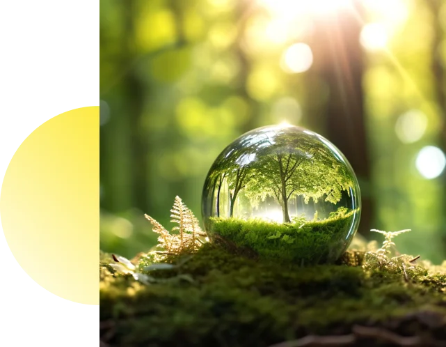 Daha Yeşil Bir 
Dünya İçin İnovasyon